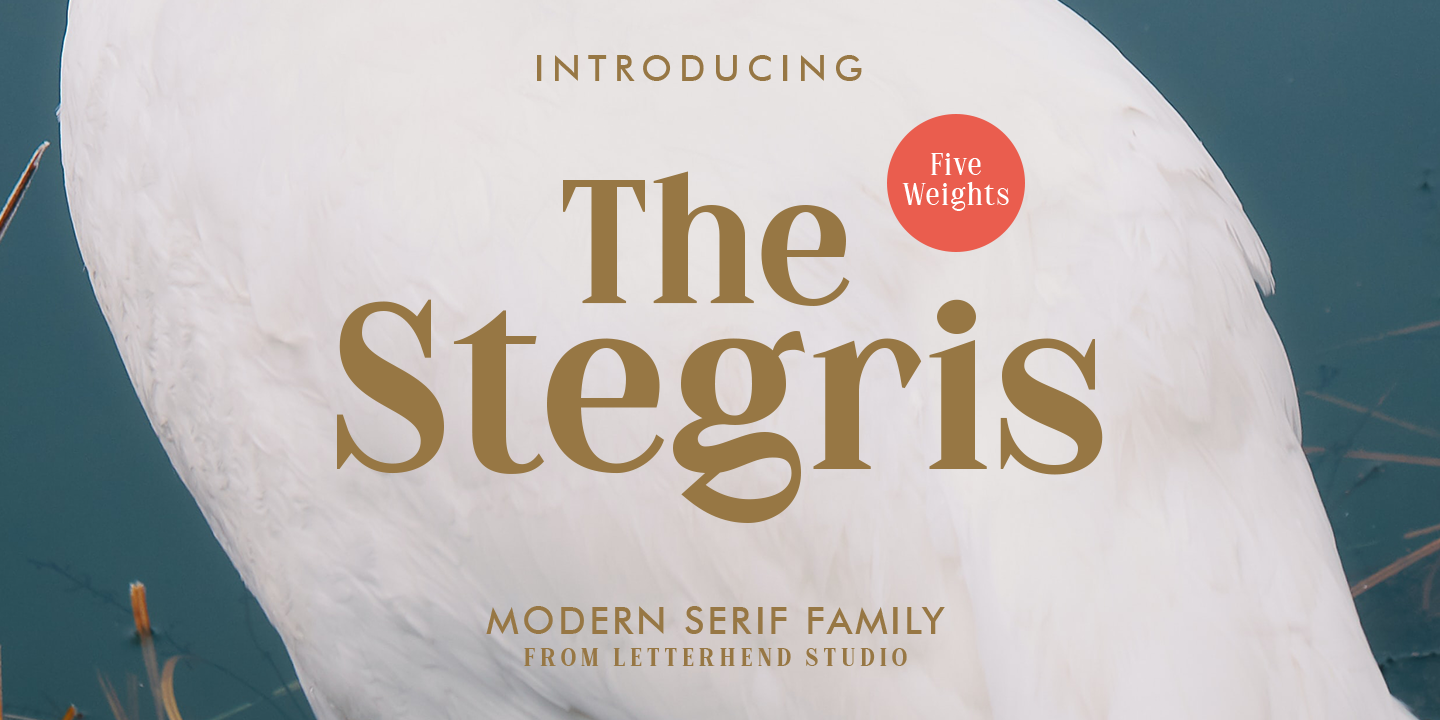 Шрифт The Stegris